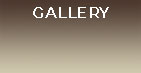 Foto Gallery